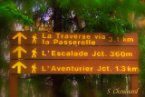 Affiche  lentre du parc - Some different trails to visit