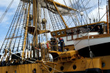 Amerigo Vespucci - Port : Amsterdam