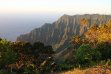 View of the Na Pali coast from the Puu O Kila lookout