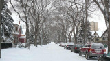 Tree archway.jpg