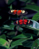 Image 021.jpg