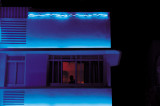 Man in window at nite