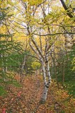 Turnagain_Rainbow_07Oct2007_ 001aesc2.jpg