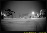 snow1292010-8.jpg