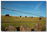 Sutter Buttes 2009