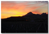 Sutter Buttes 2009
