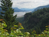 Columbia River Gorge to the east