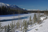 From the Icefields Parkway