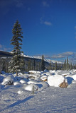 From the Icefields Parkway