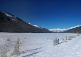 From the Icefields Parkway