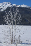 Medicine Lake