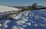 Snowy fields - Devon