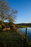 The River Exe near Brampford Speke