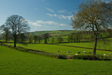 Hele Payne Farm - Devon