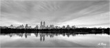 Reflections in Central Park