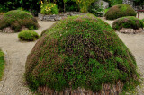Lughnasa Garden Brigits Gardens.jpg