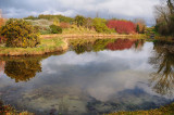 The pond at Ghan House 2