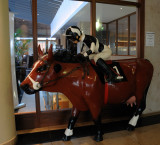Cow jockey