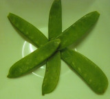 Veggie star