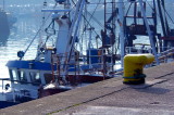 Yellow and Blue, Howth