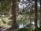 F1233 Alta Lake.JPG