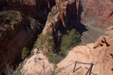 Best of Zion - 45.jpg