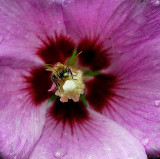 DSC_2962ps754a