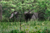 Leaning Shed-Orton_11756-2