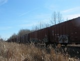 All Aboard!