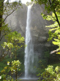 Bridal Veil Falls. New Zealand