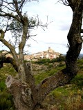 La Figuera. El Priorat