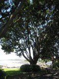 New Plymouth coastal walk