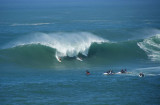 Eddie Aikau Surf Contest