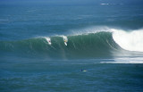 Eddie Aikau Surf Contest