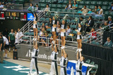 UH cheerleaders