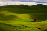 228 Altamont Pass Wind Farm 3.jpg