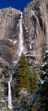 229 Yosemite Falls 4 P.jpg