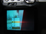 March 8, 2009<br><font size=2>Bad camera!  Bad!</font>