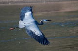 DSC_0231.jpg