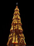 Europes Tallest Christmas Tree