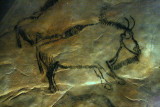 parietal art - Niaux caves. (facsimile) but I saw the original .