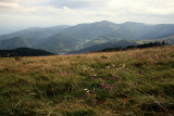 le petit ballon, Vosges du Sud.