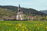 la vallée de Munster