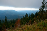 la forêt du Donon