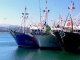 bateaux de pche.