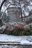 Castelo Sforzesco - Sforza Castle - 2027