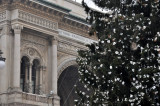 Galerie Vittorio Emanuele II - 2257