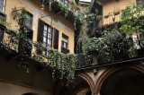 Courtyard - 2483