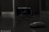 Mouse & Mac