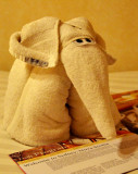 Great Elephant from Bathroom Towel!